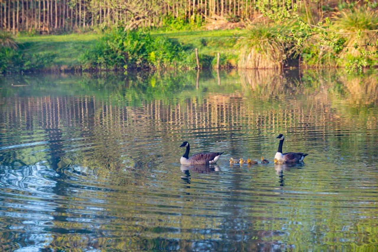 Rosefinch Sleeps 2 Persons-Private Hot Tub-Tranquil Holiday Away From It All Yet Not Far From St Austell- The Holiday Home Has One Bedroom, Living And Dining Area, Equipped Kitchen-Decking-Outdoor Furniture-Fishing Lakes-Non Pet Unit Exterior photo
